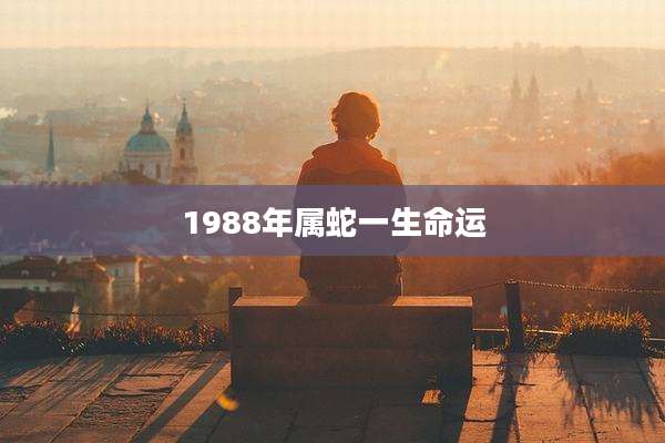 1988年属蛇一生命运