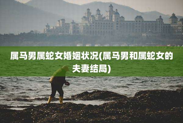 属马男属蛇女婚姻状况(属马男和属蛇女的夫妻结局)