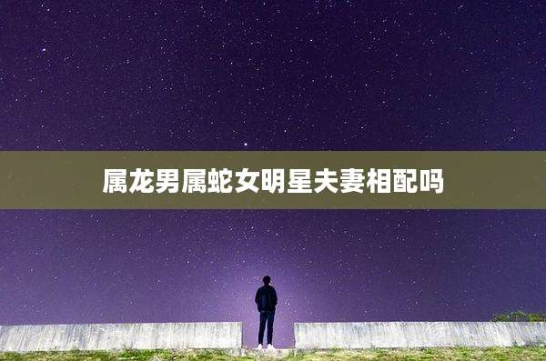 属龙男属蛇女明星夫妻相配吗