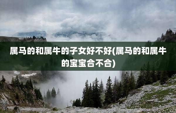 属马的和属牛的子女好不好(属马的和属牛的宝宝合不合)