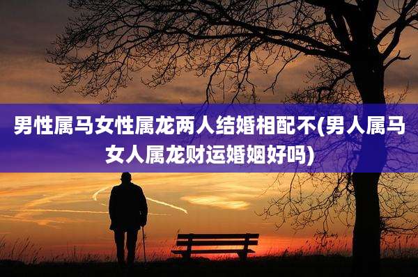 男性属马女性属龙两人结婚相配不(男人属马女人属龙财运婚姻好吗)