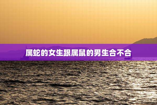 属蛇的女生跟属鼠的男生合不合