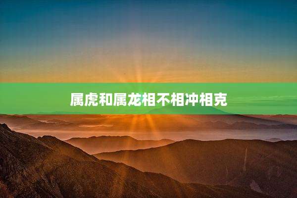 属虎和属龙相不相冲相克