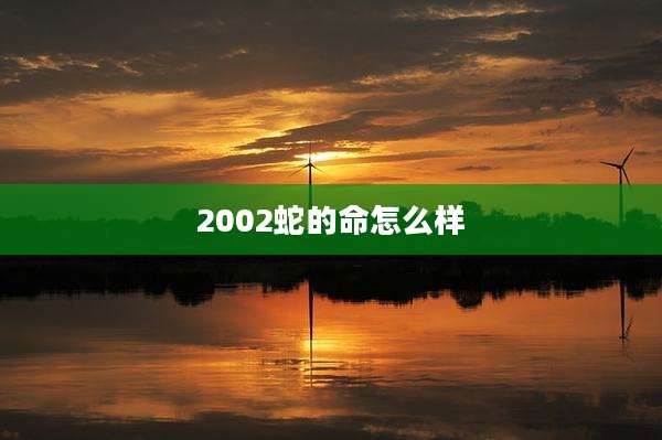 2002蛇的命怎么样