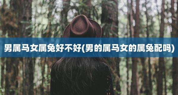 男属马女属兔好不好(男的属马女的属兔配吗)
