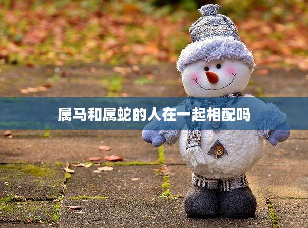 属马和属蛇的人在一起相配吗