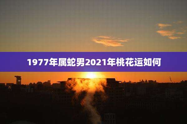 1977年属蛇男2021年桃花运如何