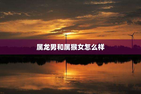 属龙男和属猴女怎么样