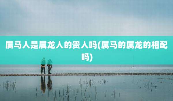 属马人是属龙人的贵人吗(属马的属龙的相配吗)