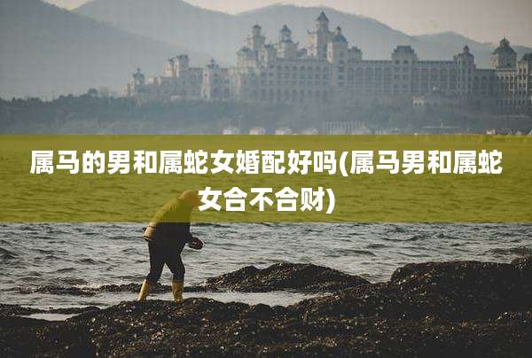 属马的男和属蛇女婚配好吗(属马男和属蛇女合不合财)