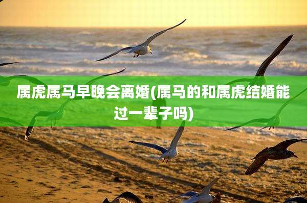 属虎属马早晚会离婚(属马的和属虎结婚能过一辈子吗)