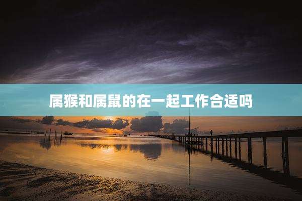 属猴和属鼠的在一起工作合适吗