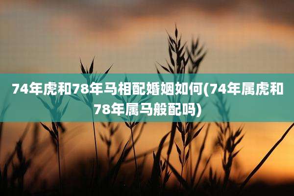74年虎和78年马相配婚姻如何(74年属虎和78年属马般配吗)