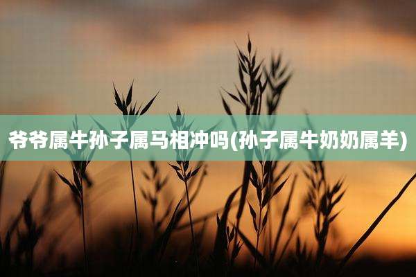 爷爷属牛孙子属马相冲吗(孙子属牛奶奶属羊)