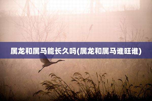 属龙和属马能长久吗(属龙和属马谁旺谁)