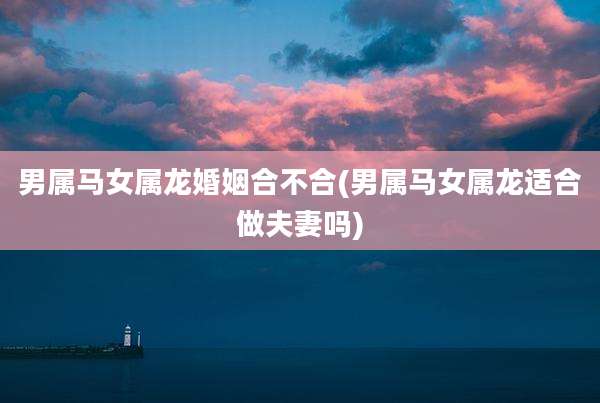 男属马女属龙婚姻合不合(男属马女属龙适合做夫妻吗)
