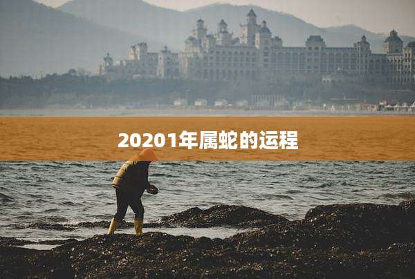 20201年属蛇的运程