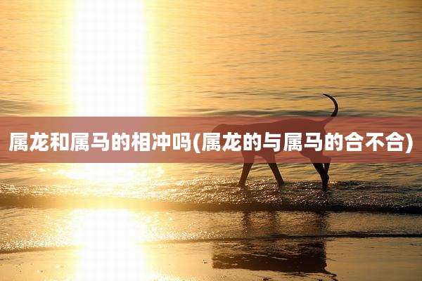 属龙和属马的相冲吗(属龙的与属马的合不合)