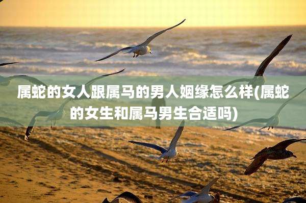 属蛇的女人跟属马的男人姻缘怎么样(属蛇的女生和属马男生合适吗)