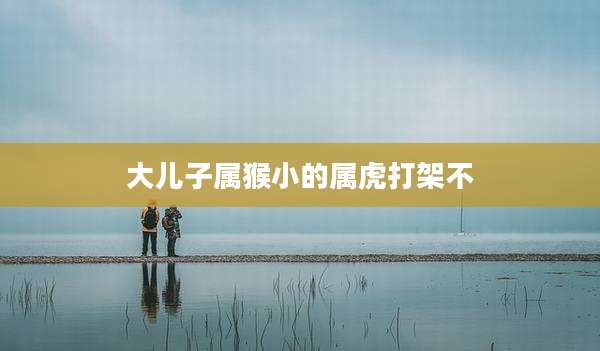 大儿子属猴小的属虎打架不