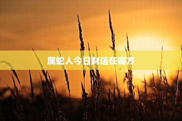 属蛇人今日财运在哪方