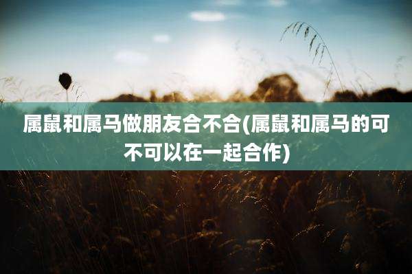 属鼠和属马做朋友合不合(属鼠和属马的可不可以在一起合作)