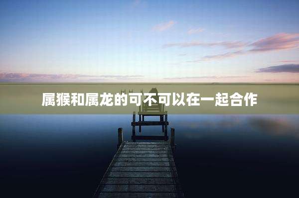 属猴和属龙的可不可以在一起合作