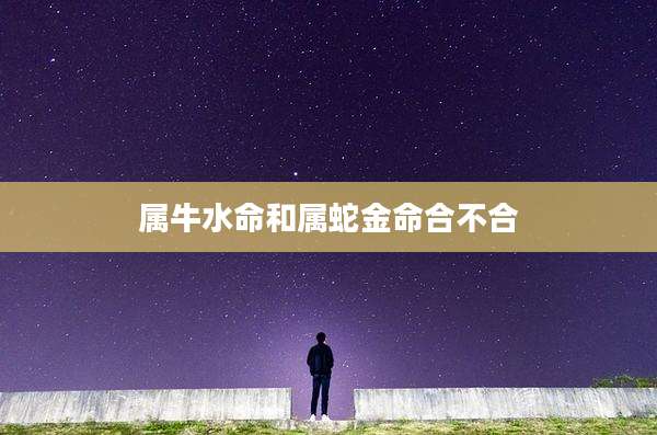 属牛水命和属蛇金命合不合