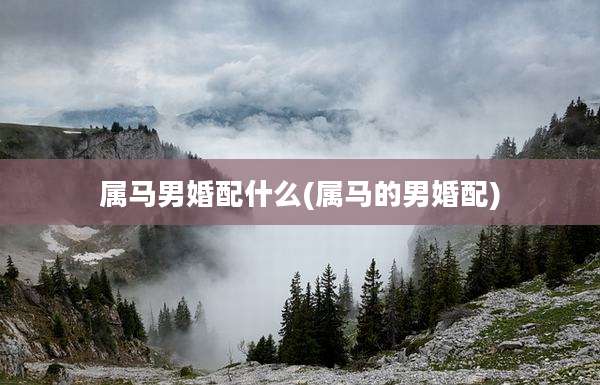 属马男婚配什么(属马的男婚配)