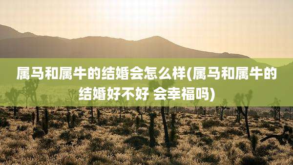 属马和属牛的结婚会怎么样(属马和属牛的结婚好不好 会幸福吗)