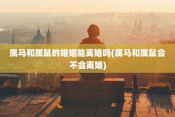 属马和属鼠的婚姻能离婚吗(属马和属鼠会不会离婚)