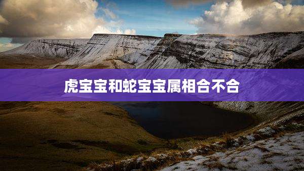 虎宝宝和蛇宝宝属相合不合