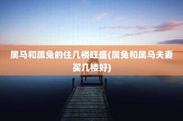 属马和属兔的住几楼旺盛(属兔和属马夫妻买几楼好)