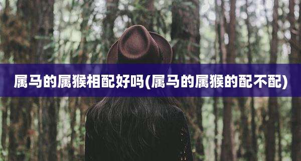 属马的属猴相配好吗(属马的属猴的配不配)