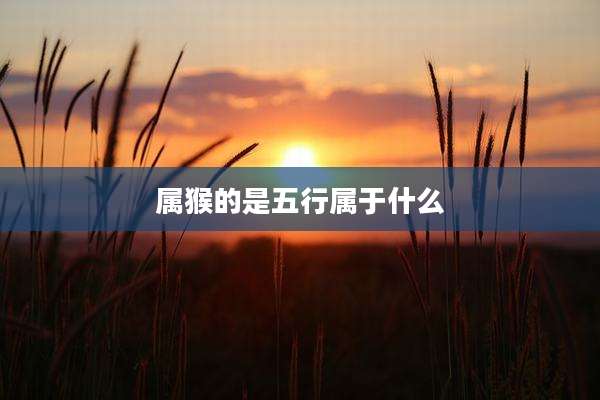 属猴的是五行属于什么