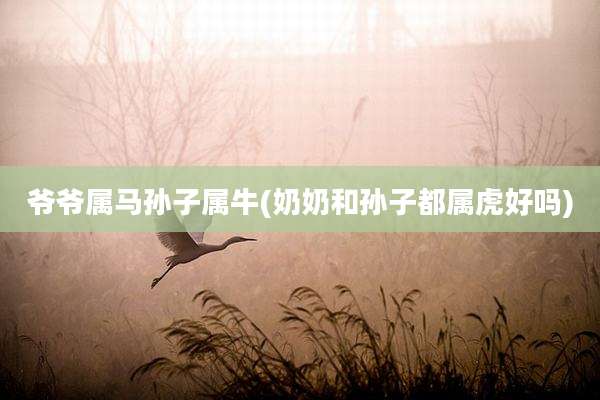 爷爷属马孙子属牛(奶奶和孙子都属虎好吗)