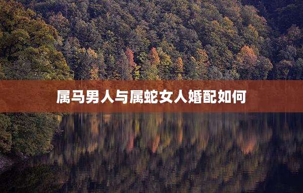 属马男人与属蛇女人婚配如何