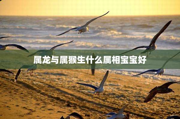 属龙与属猴生什么属相宝宝好