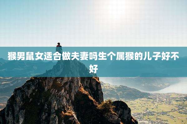 猴男鼠女适合做夫妻吗生个属猴的儿子好不好