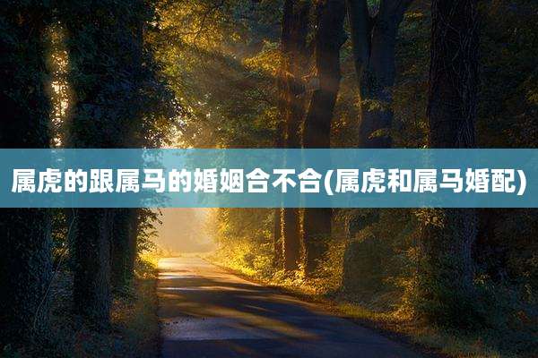 属虎的跟属马的婚姻合不合(属虎和属马婚配)