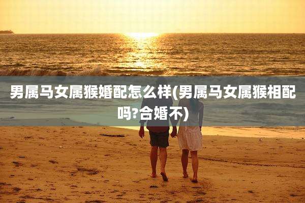 男属马女属猴婚配怎么样(男属马女属猴相配吗?合婚不)