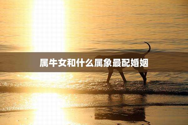 属牛女和什么属象最配婚姻