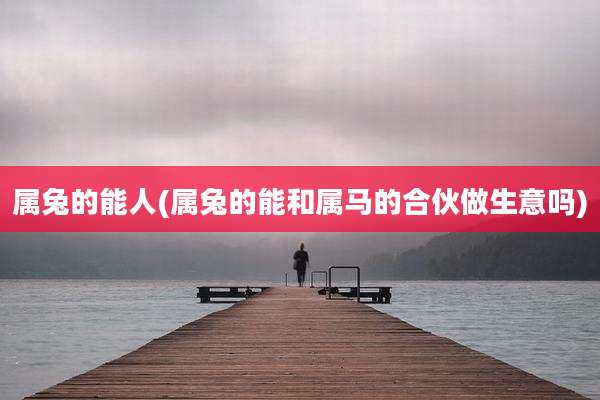 属兔的能人(属兔的能和属马的合伙做生意吗)