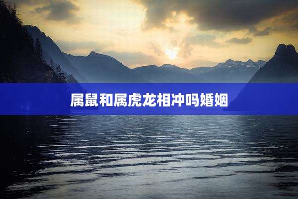 属鼠和属虎龙相冲吗婚姻