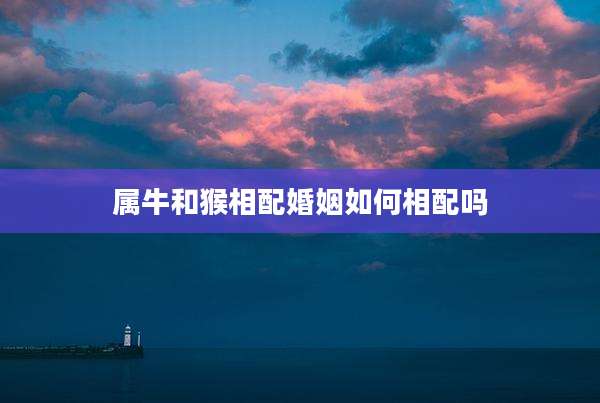 属牛和猴相配婚姻如何相配吗