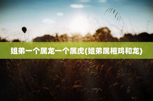 姐弟一个属龙一个属虎(姐弟属相鸡和龙)