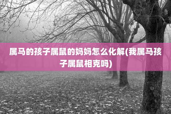 属马的孩子属鼠的妈妈怎么化解(我属马孩子属鼠相克吗)
