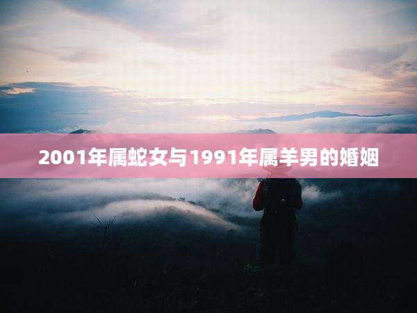 2001年属蛇女与1991年属羊男的婚姻