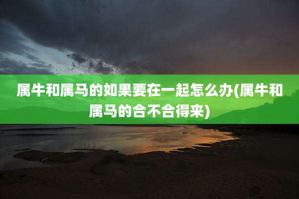 属牛和属马的如果要在一起怎么办(属牛和属马的合不合得来)