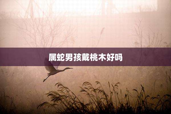 属蛇男孩戴桃木好吗